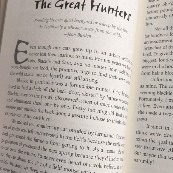 2/$10 Chicken Soup For The Soul | What I Learned From the Cat | 101 Stories - Picture 7 of 10